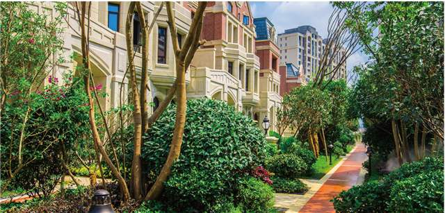 中海梅溪湖壹号（一期、二期、三期）绿化养护——2020年