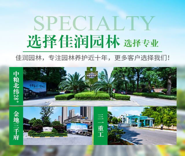 湖南佳润园林绿化养护有限公司_湖南园林绿化养护|园林设计|苗木销售