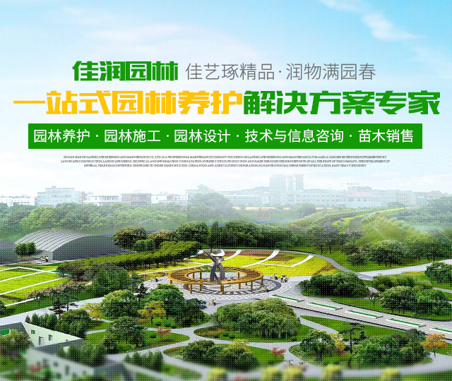 湖南佳润园林绿化养护有限公司_湖南园林绿化养护|园林设计|苗木销售