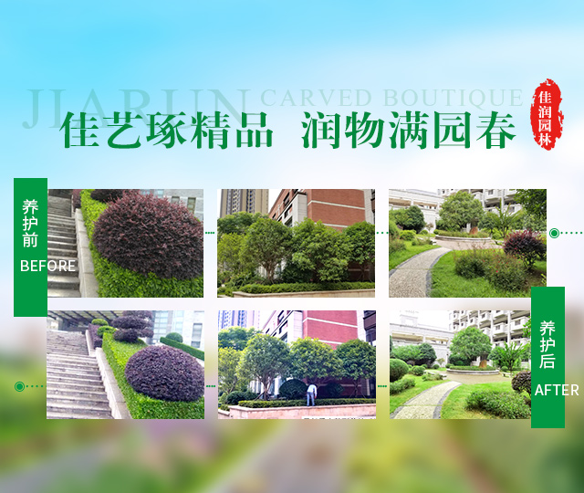 湖南佳润园林绿化养护有限公司_湖南园林绿化养护|园林设计|苗木销售